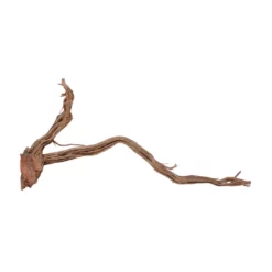 L Drachen Wurzel Nr.7151 Holz Deko Aquascaping 7 L Drachen Wurzel Nr.7151 Holz Deko Aquascaping -Haus Dekoration Verkaufsgeschäft L Drachen Wurzel Nr 7150 Holz Deko Aquascaping 7151 4 30874