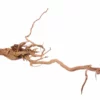 L Drachen Wurzel Nr.9809 Holz Deko Aquascaping