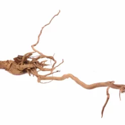 L Drachen Wurzel Nr.9809 Holz Deko Aquascaping