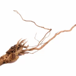 L Drachen Wurzel Nr.9809 Holz Deko Aquascaping -Haus Dekoration Verkaufsgeschäft L Drachen Wurzel Nr 9809 Holz Deko Aquascaping 9809 2 23265