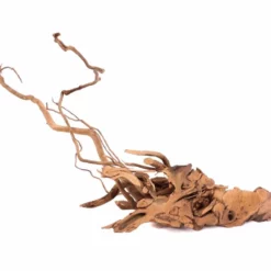 L Drachen Wurzel Nr.9809 Holz Deko Aquascaping -Haus Dekoration Verkaufsgeschäft L Drachen Wurzel Nr 9809 Holz Deko Aquascaping 9809 4 23265