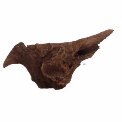 L Mangrovenwurzel Nr.3292 Holz Deko Aquascaping -Haus Dekoration Verkaufsgeschäft L Mangrovenwurzel Nr 3291 Holz Deko Aquascaping 3292 1 Kopie 26371