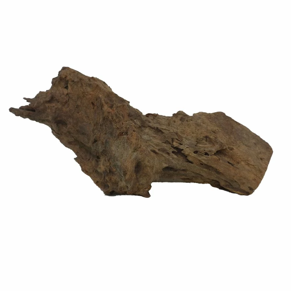 L Mangrovenwurzel Nr.4755 Holz Deko Aquascaping 3 L Mangrovenwurzel Nr.4755 Holz Deko Aquascaping – Bild 3