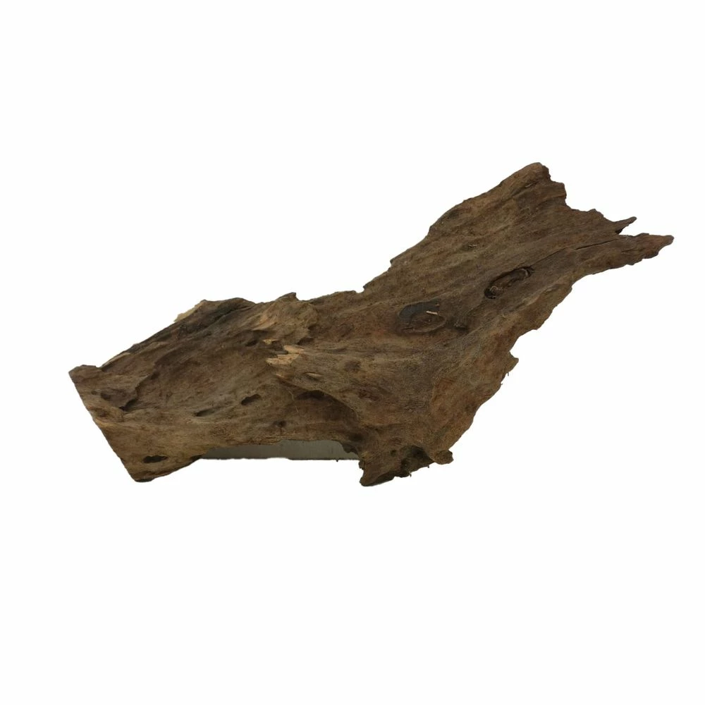 L Mangrovenwurzel Nr.4755 Holz Deko Aquascaping 4 L Mangrovenwurzel Nr.4755 Holz Deko Aquascaping – Bild 4
