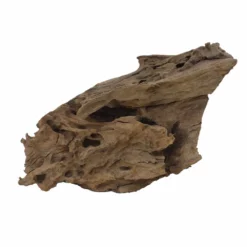 L Mangrovenwurzel Nr.4762 Holz Deko Aquascaping 7 L Mangrovenwurzel Nr.4762 Holz Deko Aquascaping -Haus Dekoration Verkaufsgeschäft L Mangrovenwurzel Nr 4761 Holz Deko Aquascaping 4762 2 Kopie 27960