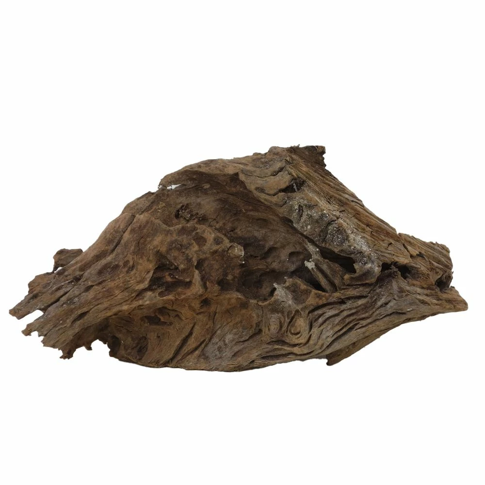 L Mangrovenwurzel Nr.4762 Holz Deko Aquascaping 3 L Mangrovenwurzel Nr.4762 Holz Deko Aquascaping – Bild 3