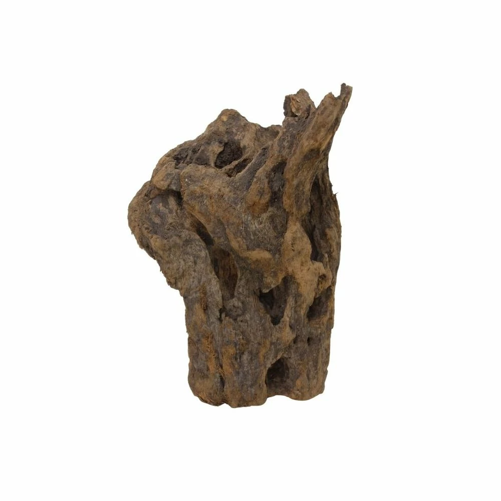 L Mangrovenwurzel Nr.5101 Holz Deko Aquascaping 6 L Mangrovenwurzel Nr.5101 Holz Deko Aquascaping – Bild 6