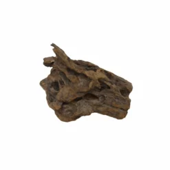 L Mangrovenwurzel Nr.5101 Holz Deko Aquascaping 7 L Mangrovenwurzel Nr.5101 Holz Deko Aquascaping -Haus Dekoration Verkaufsgeschäft L Mangrovenwurzel Nr 5100 Holz Deko Aquascaping 5101 3 28391