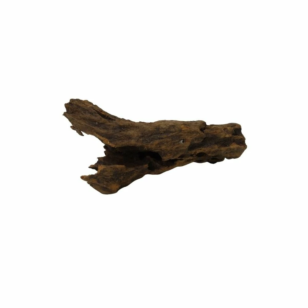 L Mangrovenwurzel Nr.5101 Holz Deko Aquascaping 3 L Mangrovenwurzel Nr.5101 Holz Deko Aquascaping – Bild 3