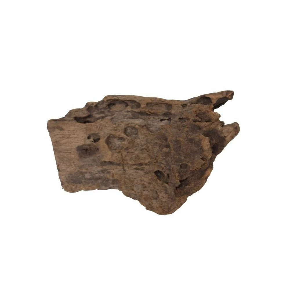 L Mangrovenwurzel Nr.5101 Holz Deko Aquascaping 4 L Mangrovenwurzel Nr.5101 Holz Deko Aquascaping – Bild 4