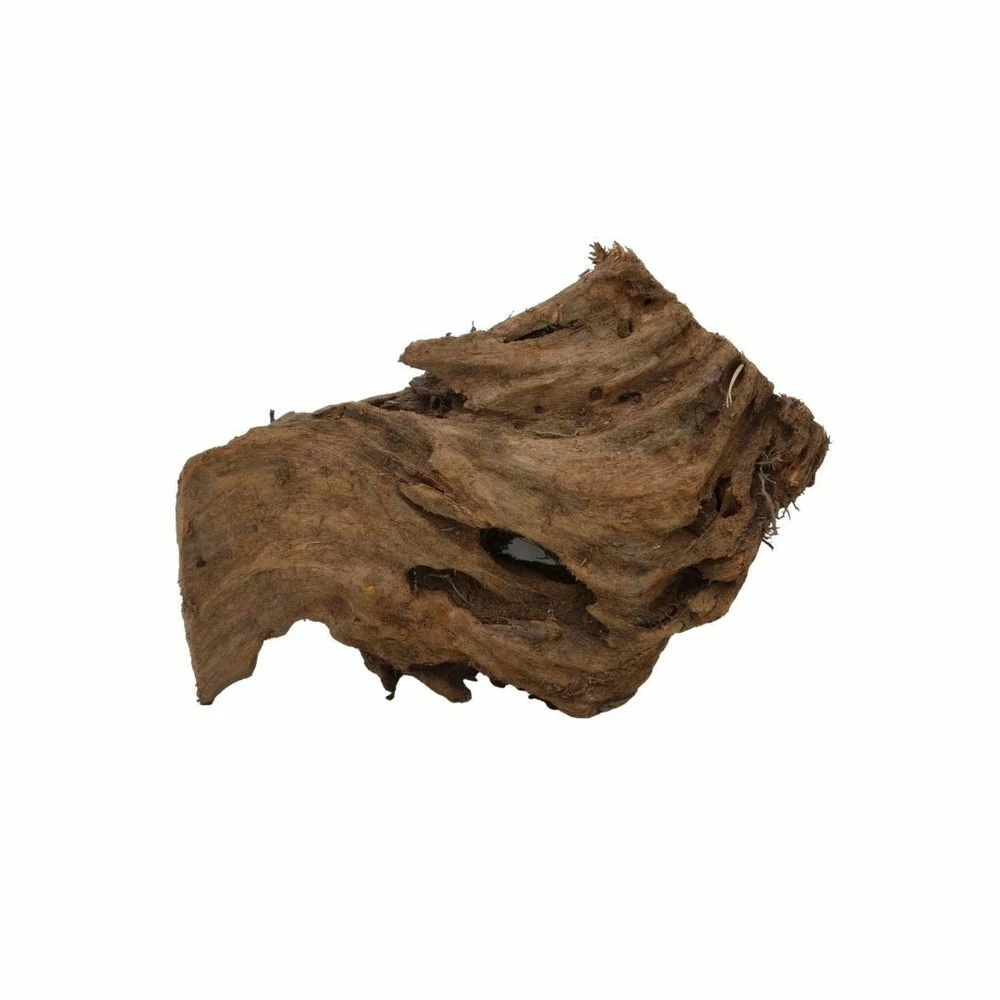 L Mangrovenwurzel Nr.5119 Holz Deko Aquascaping 3 L Mangrovenwurzel Nr.5119 Holz Deko Aquascaping – Bild 3