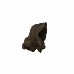 L Mangrovenwurzel Nr.5135 Holz Deko Aquascaping -Haus Dekoration Verkaufsgeschäft L Mangrovenwurzel Nr 5134 Holz Deko Aquascaping 5135 2 28424