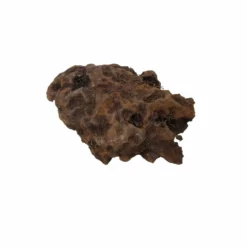 L Mangrovenwurzel Nr.5144 Holz Deko Aquascaping -Haus Dekoration Verkaufsgeschäft L Mangrovenwurzel Nr 5143 Holz Deko Aquascaping 5144 2 28435