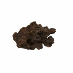 L Mangrovenwurzel Nr.5144 Holz Deko Aquascaping -Haus Dekoration Verkaufsgeschäft L Mangrovenwurzel Nr 5143 Holz Deko Aquascaping 5144 3 28435