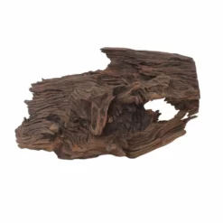 L Mangrovenwurzel Nr.6261 Holz Deko Aquascaping 9 L Mangrovenwurzel Nr.6261 Holz Deko Aquascaping -Haus Dekoration Verkaufsgeschäft L Mangrovenwurzel Nr 6260 Holz Deko Aquascaping 6261 4 29679
