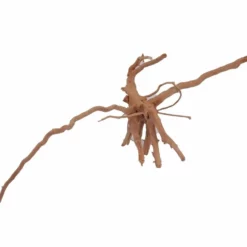 L Moorkienwurzel Nr.2964 Fingerwurzel Echtholz Deko Aquascaping -Haus Dekoration Verkaufsgeschäft L Moorkienwurzel Nr 2963 Fingerwurzel Echtholz Deko Aquascaping 2964 3 25898