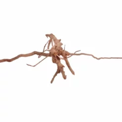 L Moorkienwurzel Nr.2964 Fingerwurzel Echtholz Deko Aquascaping -Haus Dekoration Verkaufsgeschäft L Moorkienwurzel Nr 2963 Fingerwurzel Echtholz Deko Aquascaping 2964 4 25898