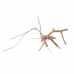 L Moorkienwurzel Nr.4462 Fingerwurzel Echtholz Deko Aquascaping -Haus Dekoration Verkaufsgeschäft L Moorkienwurzel Nr 4461 Fingerwurzel Echtholz Deko Aquascaping 4462 3 Kopie 27704