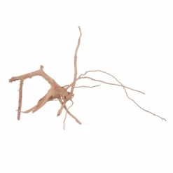 L Moorkienwurzel Nr.4462 Fingerwurzel Echtholz Deko Aquascaping -Haus Dekoration Verkaufsgeschäft L Moorkienwurzel Nr 4461 Fingerwurzel Echtholz Deko Aquascaping 4462 4 Kopie 27704