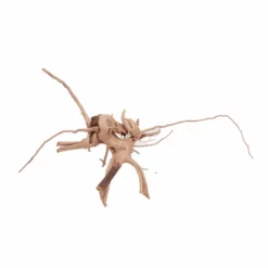 L Moorkienwurzel Nr.4472 Fingerwurzel Echtholz Deko Aquascaping -Haus Dekoration Verkaufsgeschäft L Moorkienwurzel Nr 4471 Fingerwurzel Echtholz Deko Aquascaping 4472 3k 27714