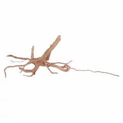 L Moorkienwurzel Nr.4505 Fingerwurzel Echtholz Deko Aquascaping -Haus Dekoration Verkaufsgeschäft L Moorkienwurzel Nr 4504 Fingerwurzel Echtholz Deko Aquascaping 4505 2 Kopie 27747