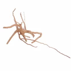 L Moorkienwurzel Nr.4505 Fingerwurzel Echtholz Deko Aquascaping -Haus Dekoration Verkaufsgeschäft L Moorkienwurzel Nr 4504 Fingerwurzel Echtholz Deko Aquascaping 4505 3 Kopie 27747