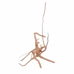 L Moorkienwurzel Nr.4505 Fingerwurzel Echtholz Deko Aquascaping -Haus Dekoration Verkaufsgeschäft L Moorkienwurzel Nr 4504 Fingerwurzel Echtholz Deko Aquascaping 4505 4 Kopie 27747