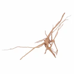 L Moorkienwurzel Nr.4510 Fingerwurzel Echtholz Deko Aquascaping -Haus Dekoration Verkaufsgeschäft L Moorkienwurzel Nr 4509 Fingerwurzel Echtholz Deko Aquascaping 4510 3 Kopie 27752