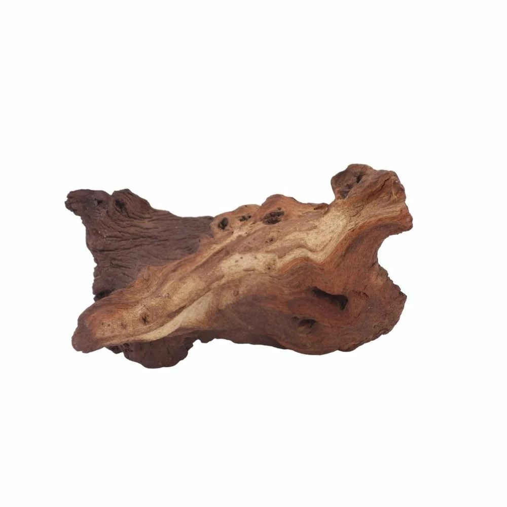 L Mopani Wurzel Nr.6949 Holz Deko Aquascaping 2 L Mopani Wurzel Nr.6949 Holz Deko Aquascaping – Bild 2