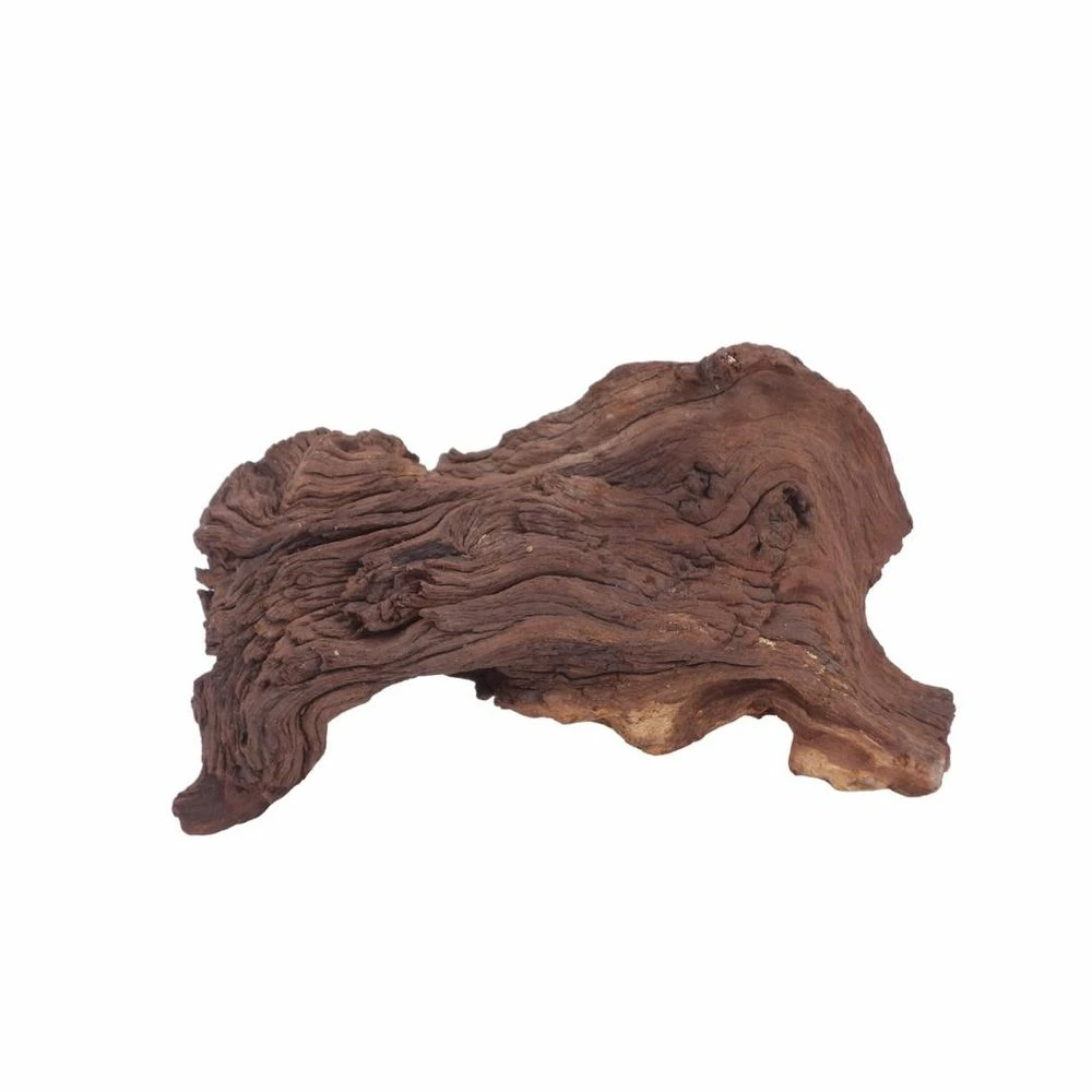 L Mopani Wurzel Nr.6949 Holz Deko Aquascaping 3 L Mopani Wurzel Nr.6949 Holz Deko Aquascaping – Bild 3