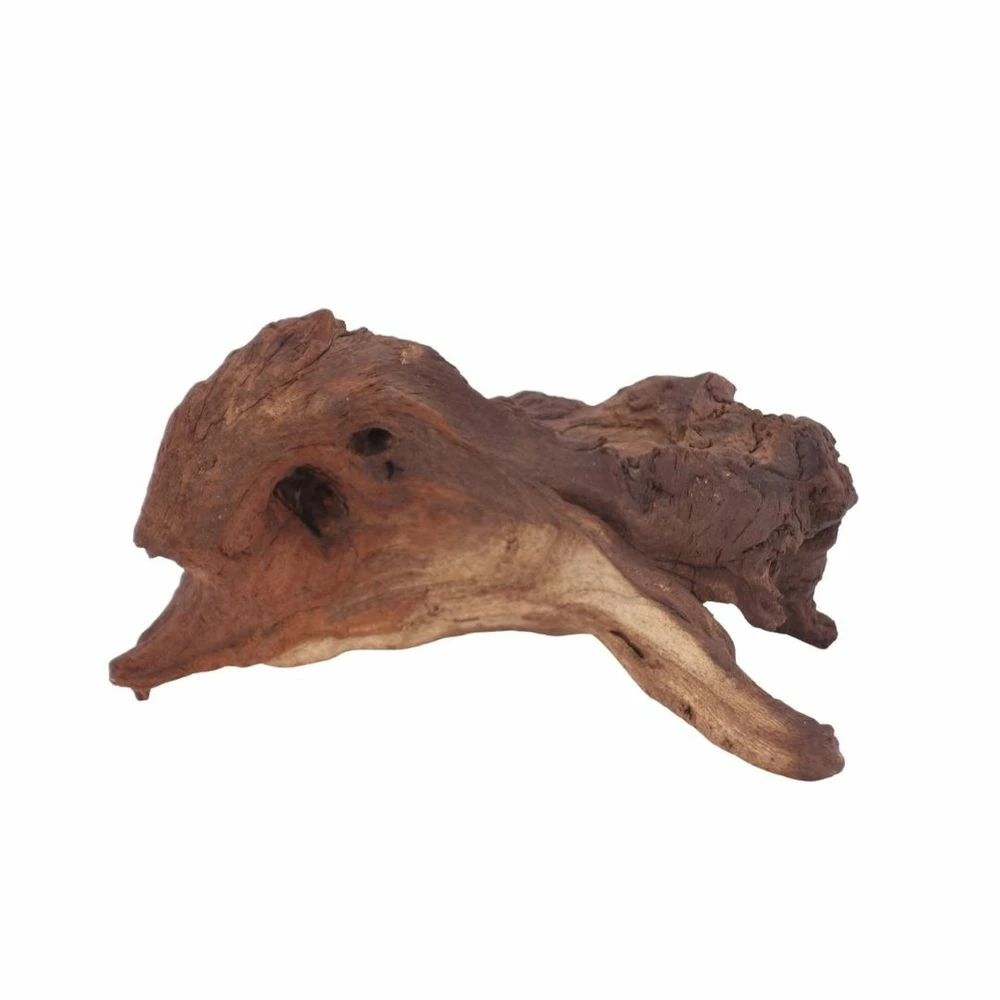 L Mopani Wurzel Nr.6949 Holz Deko Aquascaping 4 L Mopani Wurzel Nr.6949 Holz Deko Aquascaping – Bild 4