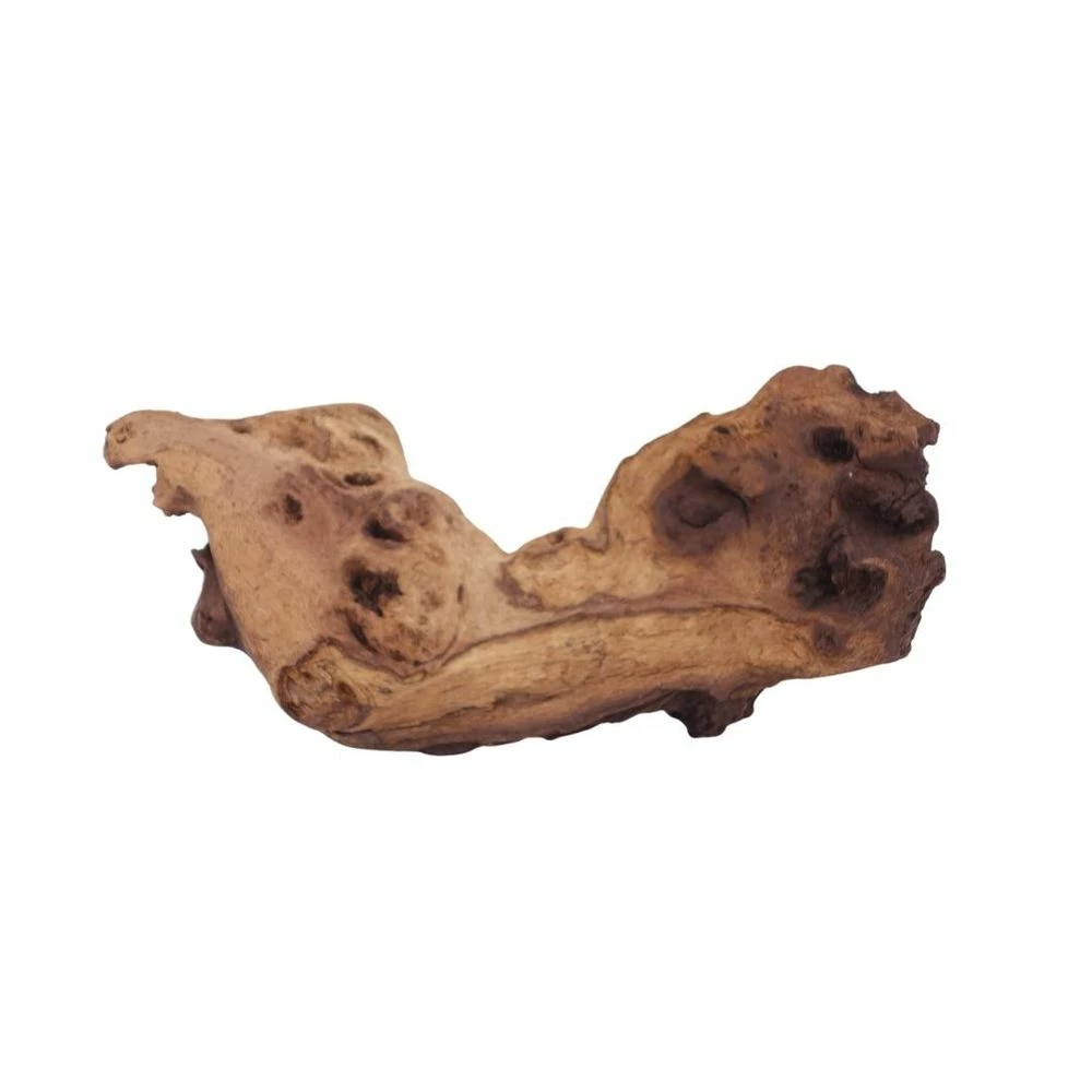 L Mopani Wurzel Nr.6954 Holz Deko Aquascaping 2 L Mopani Wurzel Nr.6954 Holz Deko Aquascaping – Bild 2