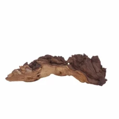 L Mopani Wurzel Nr.6954 Holz Deko Aquascaping 6 L Mopani Wurzel Nr.6954 Holz Deko Aquascaping -Haus Dekoration Verkaufsgeschäft L Mopani Wurzel Nr 6953 Holz Deko Aquascaping 6954 3 30611