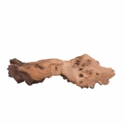 L Mopani Wurzel Nr.6954 Holz Deko Aquascaping 7 L Mopani Wurzel Nr.6954 Holz Deko Aquascaping -Haus Dekoration Verkaufsgeschäft L Mopani Wurzel Nr 6953 Holz Deko Aquascaping 6954 4 30611