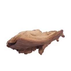 L Mopani Wurzel Nr.6963 Holz Deko Aquascaping 6 L Mopani Wurzel Nr.6963 Holz Deko Aquascaping -Haus Dekoration Verkaufsgeschäft L Mopani Wurzel Nr 6962 Holz Deko Aquascaping 6963 4 30620