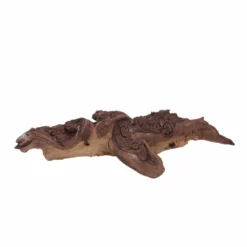 L Mopani Wurzel Nr.6970 Holz Deko Aquascaping -Haus Dekoration Verkaufsgeschäft L Mopani Wurzel Nr 6969 Holz Deko Aquascaping 6970 3 30627