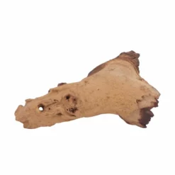 L Mopani Wurzel Nr.6975 Holz Deko Aquascaping -Haus Dekoration Verkaufsgeschäft L Mopani Wurzel Nr 6974 Holz Deko Aquascaping 6975 2 30632