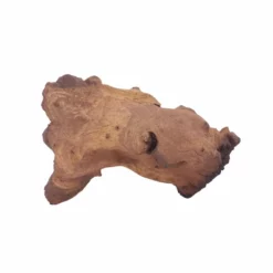 L Mopani Wurzel Nr.6976 Holz Deko Aquascaping -Haus Dekoration Verkaufsgeschäft L Mopani Wurzel Nr 6975 Holz Deko Aquascaping 6976 2 30633
