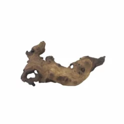 L Mopani Wurzel Nr.7302 Holz Deko Aquascaping -Haus Dekoration Verkaufsgeschäft L Mopani Wurzel Nr 7301 Holz Deko Aquascaping 7302 4 31035