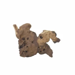 L Mopani Wurzel Nr.7310 Holz Deko Aquascaping 7 L Mopani Wurzel Nr.7310 Holz Deko Aquascaping -Haus Dekoration Verkaufsgeschäft L Mopani Wurzel Nr 7309 Holz Deko Aquascaping 7310 4 31043