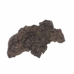 L Mopani Wurzel Nr.7311 Holz Deko Aquascaping