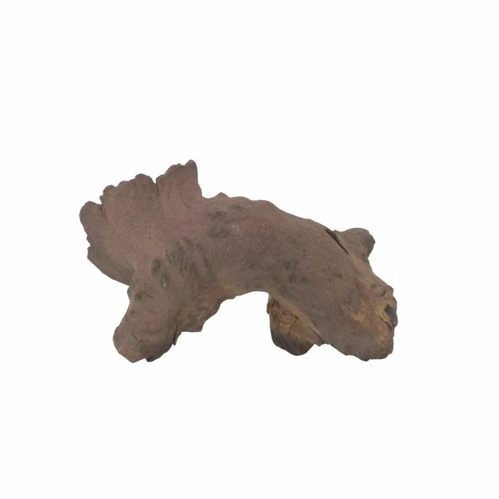 L Mopani Wurzel Nr.7315 Holz Deko Aquascaping 2 L Mopani Wurzel Nr.7315 Holz Deko Aquascaping – Bild 2