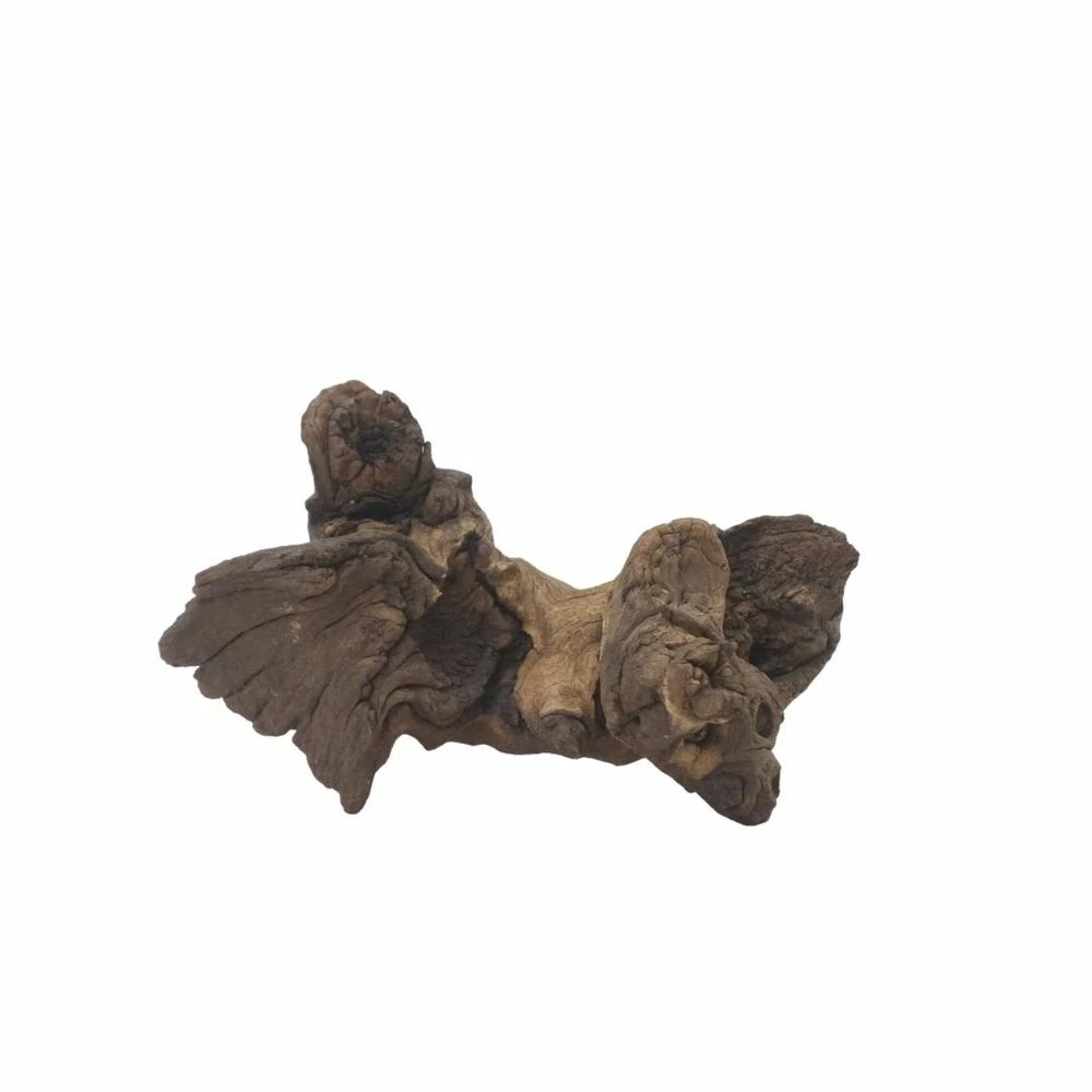 L Mopani Wurzel Nr.7315 Holz Deko Aquascaping 3 L Mopani Wurzel Nr.7315 Holz Deko Aquascaping – Bild 3