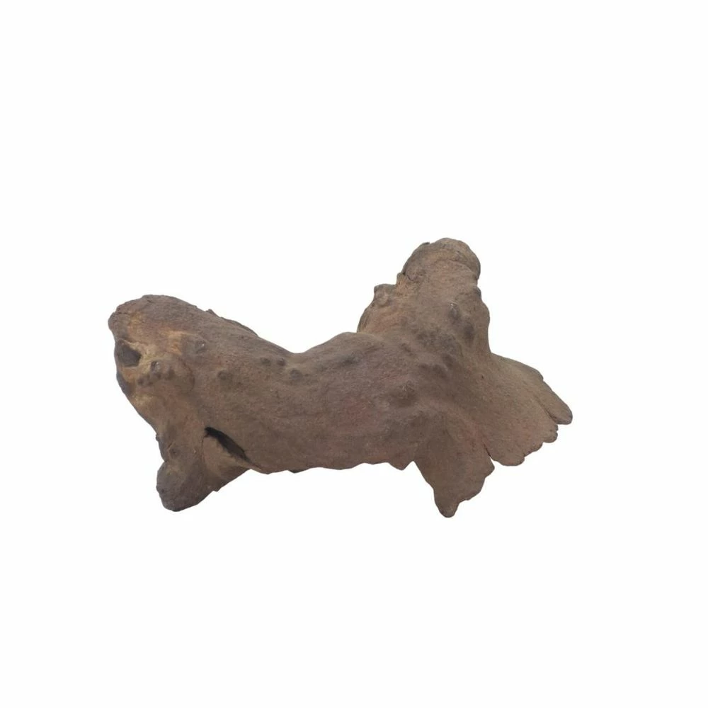 L Mopani Wurzel Nr.7315 Holz Deko Aquascaping 4 L Mopani Wurzel Nr.7315 Holz Deko Aquascaping – Bild 4