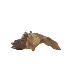 L Mopani Wurzel Nr.7317 Holz Deko Aquascaping