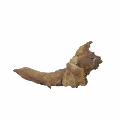 L Mopani Wurzel Nr.7317 Holz Deko Aquascaping -Haus Dekoration Verkaufsgeschäft L Mopani Wurzel Nr 7316 Holz Deko Aquascaping 7317 3 31050