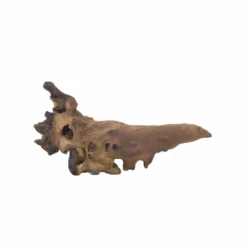 L Mopani Wurzel Nr.7317 Holz Deko Aquascaping -Haus Dekoration Verkaufsgeschäft L Mopani Wurzel Nr 7316 Holz Deko Aquascaping 7317 4 31050