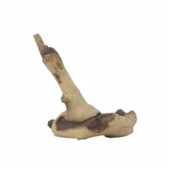 L Mopani Wurzel Nr.7318 Holz Deko Aquascaping -Haus Dekoration Verkaufsgeschäft L Mopani Wurzel Nr 7317 Holz Deko Aquascaping 7318 4 31051