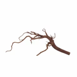 L Red Spider Wurzel Nr.6071 Fingerwurzel Echtholz Deko Aquascaping 6 L Red Spider Wurzel Nr.6071 Fingerwurzel Echtholz Deko Aquascaping -Haus Dekoration Verkaufsgeschäft L Red Spider Wurzel Nr 6070 Fingerwurzel Echtholz Deko Aquascaping 6071 3 29480