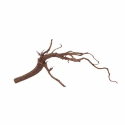 L Red Spider Wurzel Nr.6071 Fingerwurzel Echtholz Deko Aquascaping 7 L Red Spider Wurzel Nr.6071 Fingerwurzel Echtholz Deko Aquascaping -Haus Dekoration Verkaufsgeschäft L Red Spider Wurzel Nr 6070 Fingerwurzel Echtholz Deko Aquascaping 6071 4 29480